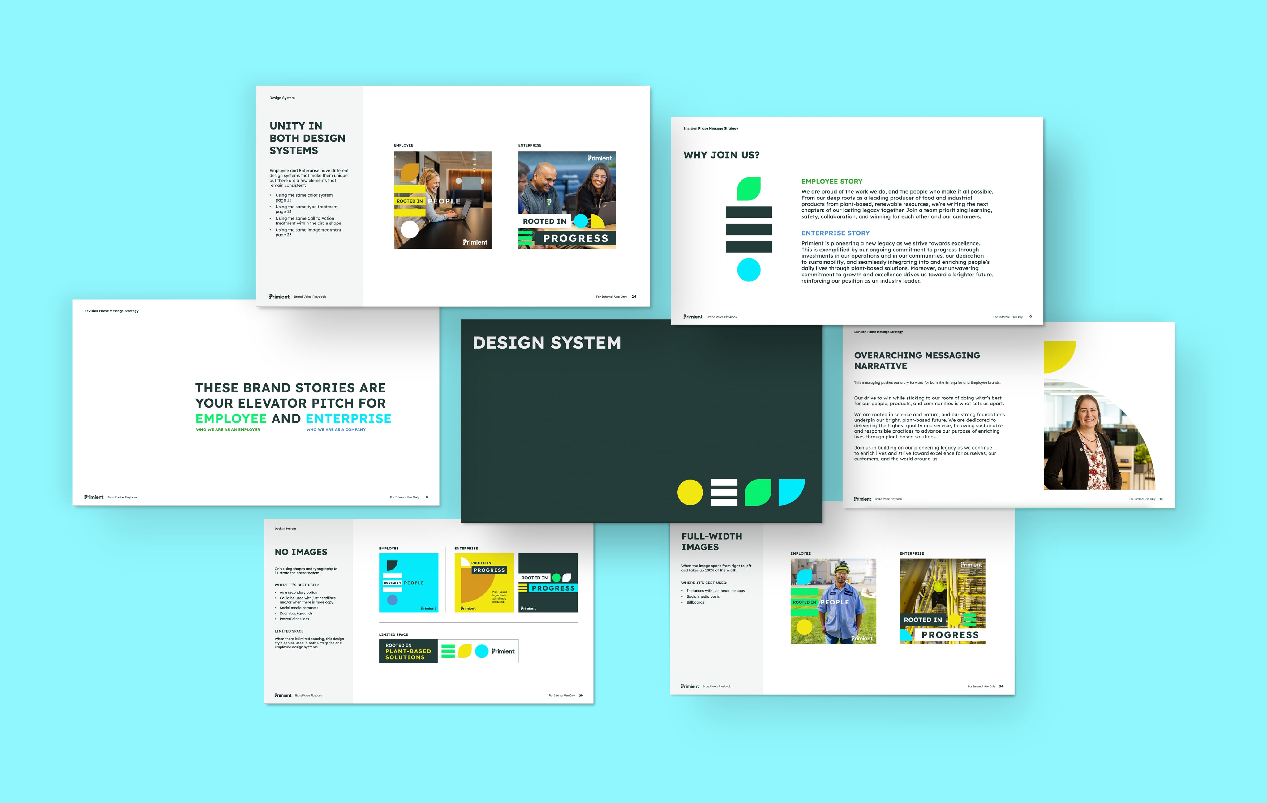 Appcast Brand and Creative creates unity across creative for Primient